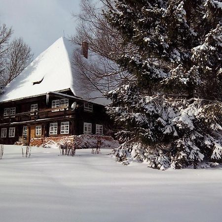 Вілла Romantisches Schwarzwaelder Bauernhaeuschen Huesli Am Griesbachhof Тітізе-Нойштадт Екстер'єр фото