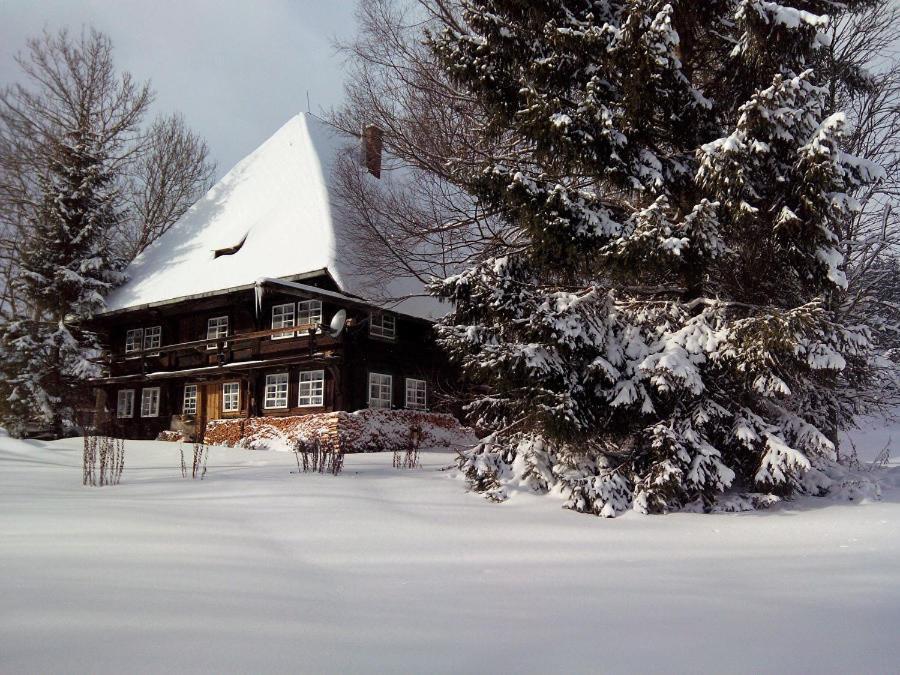 Вілла Romantisches Schwarzwaelder Bauernhaeuschen Huesli Am Griesbachhof Тітізе-Нойштадт Екстер'єр фото