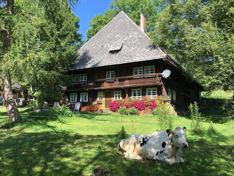 Вілла Romantisches Schwarzwaelder Bauernhaeuschen Huesli Am Griesbachhof Тітізе-Нойштадт Екстер'єр фото