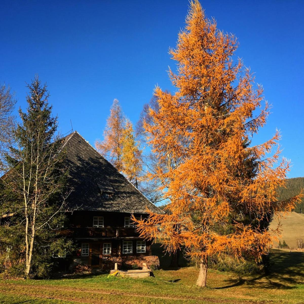 Вілла Romantisches Schwarzwaelder Bauernhaeuschen Huesli Am Griesbachhof Тітізе-Нойштадт Екстер'єр фото